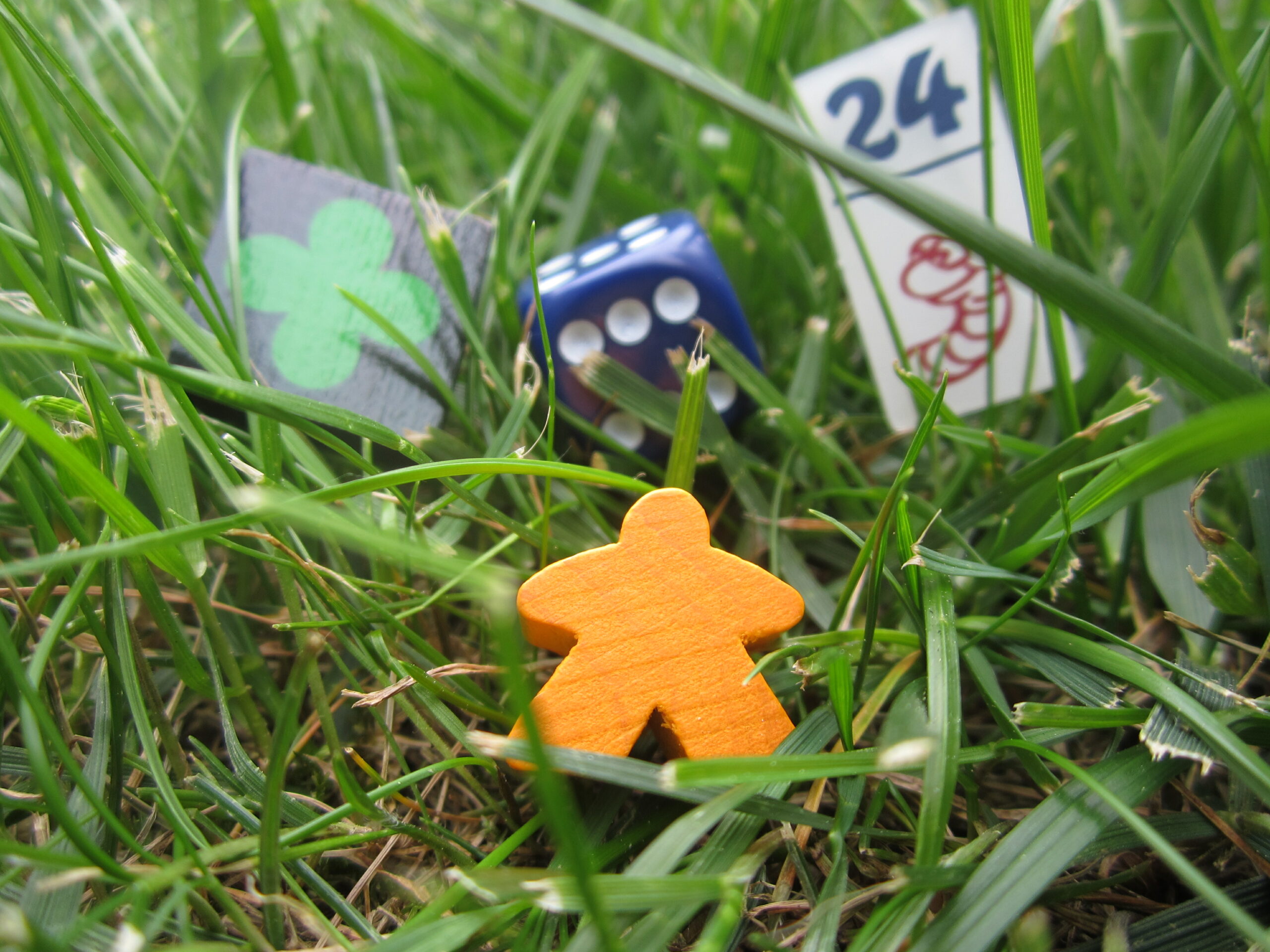 verscheidene Spielsteine die in der Wiese liegen