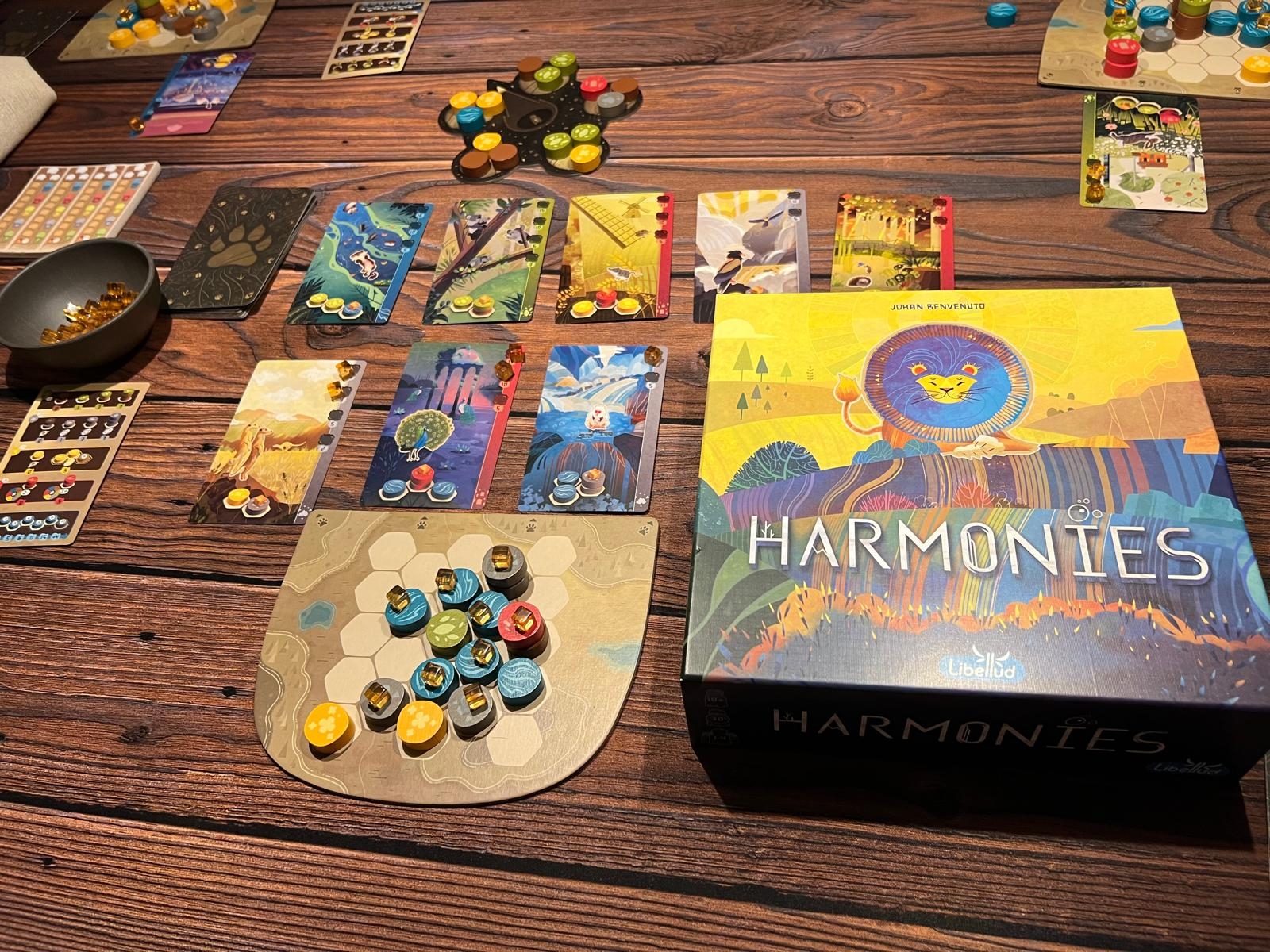 Das Spiel Harmonies von Libellud